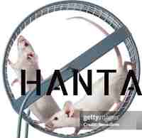 HANTA